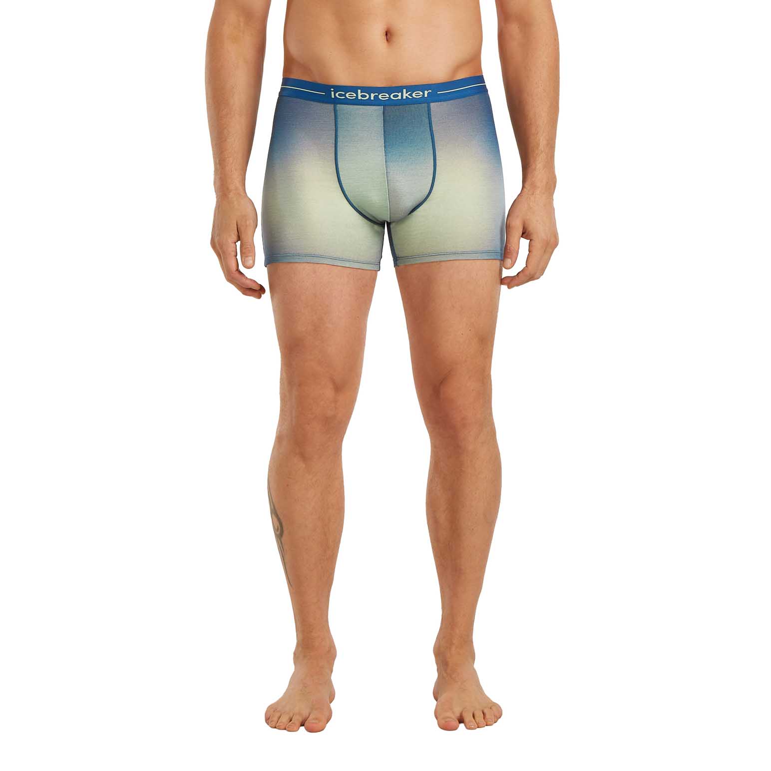 Icebreaker M Merino 150 Anatomica Boxers Transition
